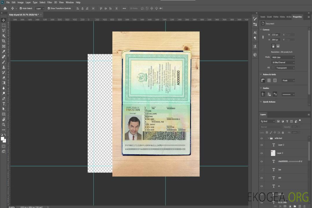 Look de photo de passeport pakistanais template Look de photo de passeport pakistanais template